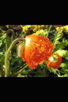 Catechism of St. Therese of Lisieux and the Incorruptibles B089267XKX Book Cover