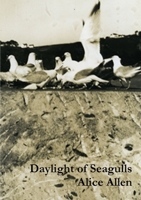 Daylight of Seagulls 1913201120 Book Cover
