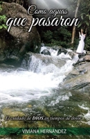 Como aguas que pasaron: El cuidado de Dios en tiempos de dolor B09XZKQKG3 Book Cover