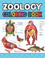 Zoology Coloring Book: Learn The Zoology & Enhance Your Practice. Simple Animal Body Parts For Children. Dog Cat Horse Frog Bird Anatomy Coloring ... Handbook of Zoology Students & Teachers. B08R1K5BJB Book Cover