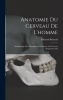 Anatomie Du Cerveau De L'homme: Morphologie Des Hémisphères Cérébraux, Ou Cerveau Proprement Dit 1017380120 Book Cover
