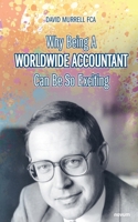 Why Being A Worldwide Accountant Can Be So Exciting 3711604714 Book Cover