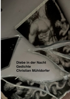 Diebe in der Nacht: Gedichte 3695746475 Book Cover
