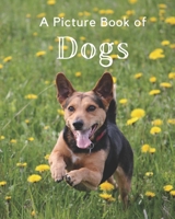 A Picture Book of Dogs: A Beautiful Picture Book for Seniors With Alzheimer’s or Dementia. Makes a Great Gift For Dog Lovers! B08L81QWXH Book Cover