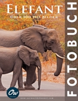 Elefant: Bilderbuch (Fotobuch) (German Edition) B0CLLZWCLP Book Cover