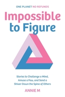 Impossible to Figure: Stories to Challenge a Mind, Amuse a Few, and Send a Shiver Down the Spine of Others 1038360234 Book Cover
