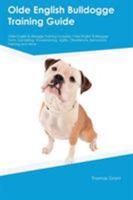 Olde English Bulldogge Training Guide Olde English Bulldogge Training Includes: Olde English Bulldogge Tricks, Socializing, Housetraining, Agility, Obedience, Behavioral Training and More 1526912686 Book Cover