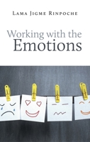 Working With Emotions 2360170112 Book Cover