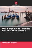 Um mergulho no labirinto dos defeitos Schottky (Portuguese Edition) 6207635701 Book Cover