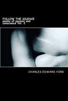 Follow The Silence: poems of passion and conscience Vol. 2 1717053130 Book Cover