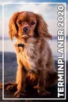 Terminplaner 2020: Jahresplaner von September 2019 bis Dezember 2020 mit Hund - Planer mit 174 Seiten in wei� im Format A5 mit gl�nzendem Soft Cover. 1704023866 Book Cover