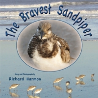 The Bravest Sandpiper 1737258102 Book Cover