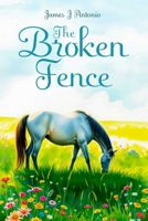 The Broken Fence: Silvery Flash 1592115993 Book Cover