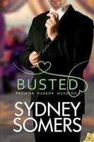 Busted 1619217023 Book Cover