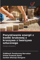 Pozyskiwanie energii z kostki brukowej z kruszywa z tworzywa sztucznego (Polish Edition) 6630350898 Book Cover