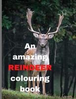 An amazing REINDEER colouring book: REINDEER colouring book with attractive reindeer;30 pages B08RXBTZSH Book Cover