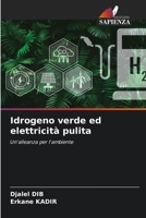 Idrogeno verde ed elettricità pulita (Italian Edition) 6208941512 Book Cover