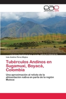 Tubérculos Andinos en Sugamuxi, Boyacá, Colombia 3659082155 Book Cover