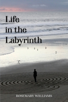 Life in the Labyrinth 1915662028 Book Cover