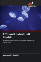Effluenti industriali liquidi 6205884828 Book Cover