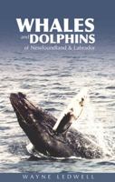 Whales and Dolphins of Newfoundland and Labrador 0973027150 Book Cover