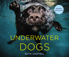 Underwater Dogs 0316227706 Book Cover