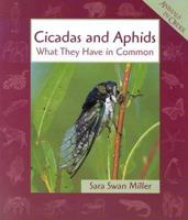Cicadas and Aphids: What They Have in Common (Animals in Order Series) 0613346424 Book Cover