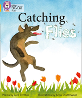 Catching Flies 000746181X Book Cover