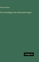 Die Grundlagen der Seelenstörungen 3563973598 Book Cover