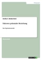 Faktoren pränataler Beziehung: Eine Explorationsstudie 3656617678 Book Cover