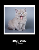 2021-2022 Monthly Planner: Planner 2021-2022 for Women - 18 Month Diary & Calendar. Planner from July 2021 to December 2022 with Goals & Reflection ... Blue Grey Cheeky Kitten Cat Lover Design B097SK2WC1 Book Cover