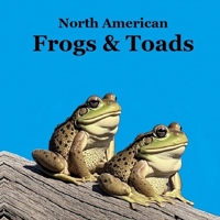 Frogs and Toads of North America Kids Book: Great Children's Book about the types of North American Frogs and Toads 1965098606 Book Cover