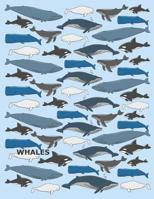 Whales: A Cute Whales Of The Sea Lover Writing Journal, A Blank 8.5x11" Half Page Composition Notepad With Dashed Midline And Half Page Drawing Space With 120 Practice Pages For School 1081766050 Book Cover