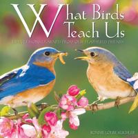 What Birds Teach Us 1682347338 Book Cover