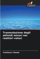 Trasmutazione degli attinidi minori nei reattori veloci (Italian Edition) 6200742936 Book Cover