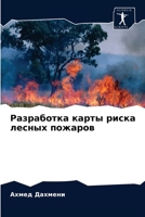 Разработка карты риска л 6203551015 Book Cover