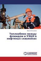 Теплообмен между флюидом и УЭЦН в нефтяных скважинах 384849406X Book Cover