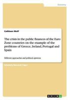 The Crisis in the Public Finances of the Euro Zone Countries on the Example of the Problems of Greece, Ireland, Portugal and Spain 3656366403 Book Cover