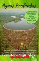 Aguas Profundas: 40 Consejos PR�CTICOS Para Pastores y Ministros 1546995927 Book Cover