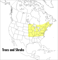 A Field Guide to Trees and Shrubs: Northeastern and north-central United States and southeastern and south-centralCanada (Peterson Field Guides(R)) 0395175798 Book Cover