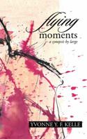 Flying Moments: A Synopsis by Large 1482864460 Book Cover