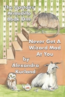 Never Get A Wizard Mad At You B0FRZ35X6G Book Cover
