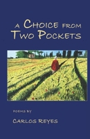 A CHOICE FROM TWO POCKETS 9363549488 Book Cover