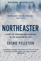Northeaster: A Story of Courage and Survival in the Blizzard of 1952 163936580X Book Cover