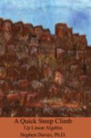 A Quick Steep Climb Up Linear Algebra 1034259792 Book Cover