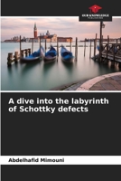 A dive into the labyrinth of Schottky defects 6207635671 Book Cover