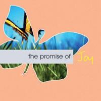 The Promise of Joy (The Promise of) 1402200234 Book Cover