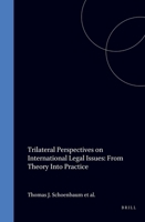 Trilateral Perspectives on International Legal Issues: From Theory to Practice 1571050779 Book Cover
