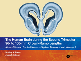 The Human Brain During the Second Trimester 96- To 150-MM Crown-Rump Lengths: Atlas of Human Central Nervous System Development, Volume 8 1032224614 Book Cover