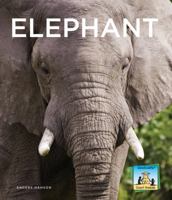 Elephant 1624030572 Book Cover